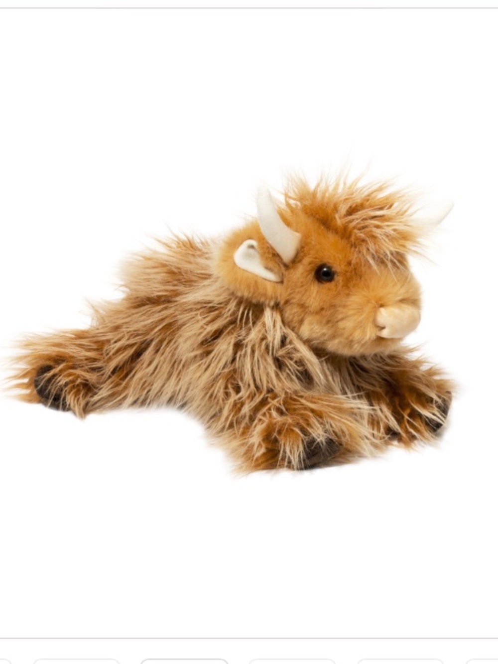 Douglas Wallace Highland Cow DLux Bull